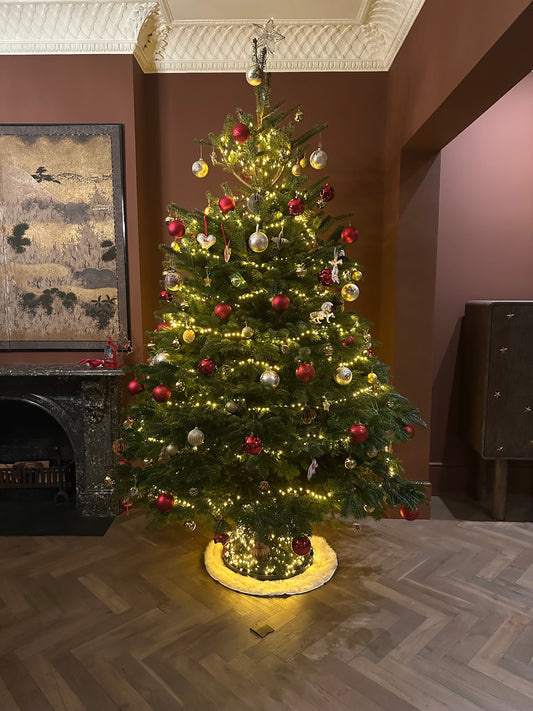 Luxury Decorated Real Christmas Tree Package - 6ft