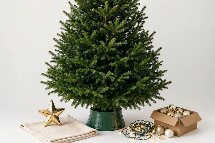 Christmas Tree DIY Decoration Set
