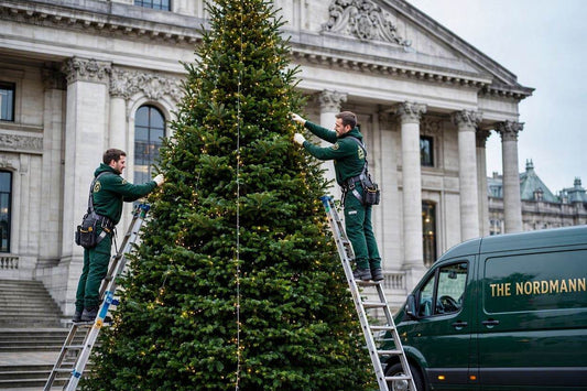 15ft Commercial Christmas Tree - Outdoor, Lit, Installed