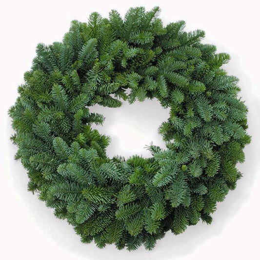 Noble Fir Wreath - 40cm - Plain