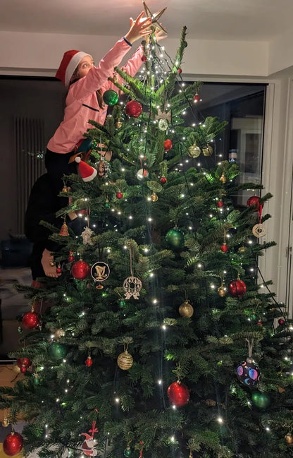 7ft Real Nordmann Fir Christmas Tree | No Needle Drop
